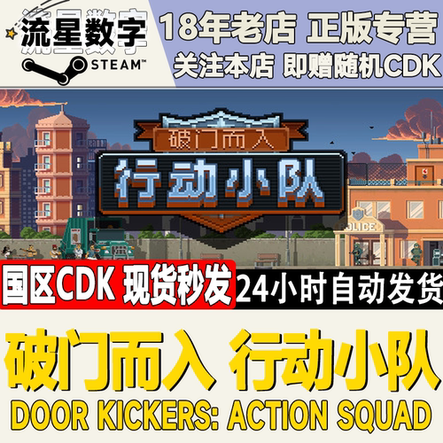 Steam破门而入行动小队正版