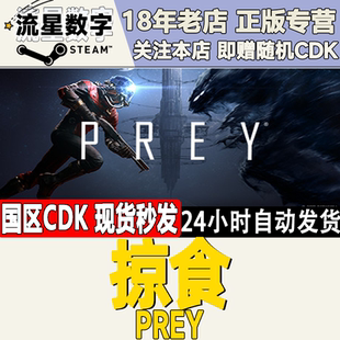Steam国区KEY Prey 掠食 Mooncrash 月球DLC 现货CDKEY秒发