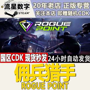 Steam正版国区KEY 佣兵猎手  Rogue Point 激活码CDKEY现货