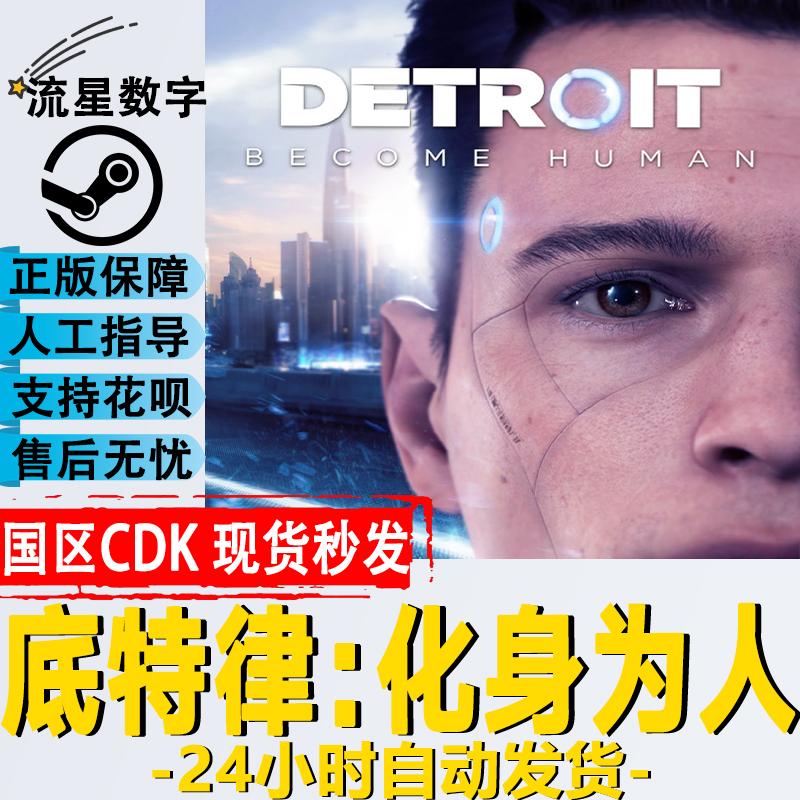 Steam正版 激活码KEY底特律：化身为人Detroit Become Human 变人 电玩/配件/游戏/攻略 STEAM 原图主图