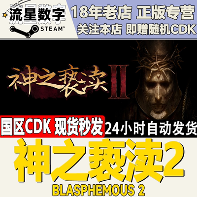 Steam神之亵渎2国区KEY现货