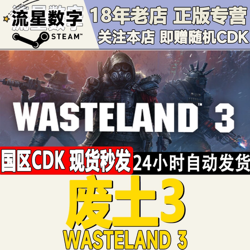 Steam废土3国区KEY现货