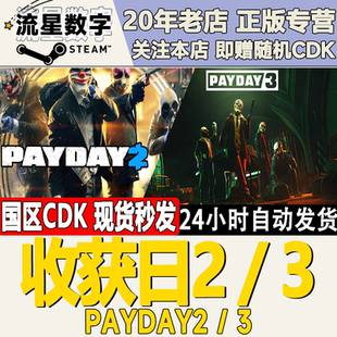 掠夺日2 PAYDAY Steam正版 激活码 收获日2 CDKEY 国区KEY