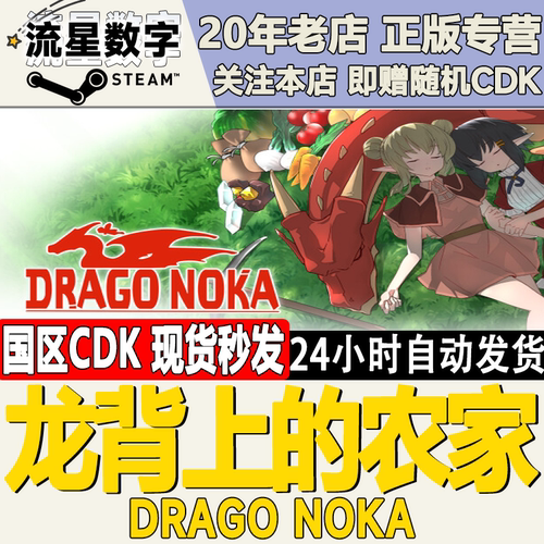 龙背上的农家DragoNoka激活码