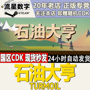 Steam国区 正版KEY Turmoil 石油骚动 石油大亨 激活码现货秒发