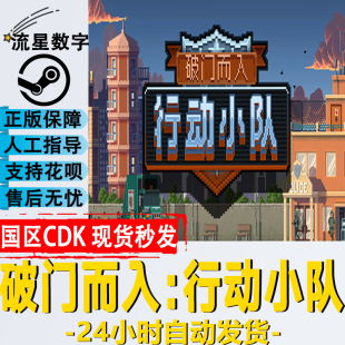 国区KEY 行动小队 破门而入 steam正版 激活码 CDKEY现货秒发