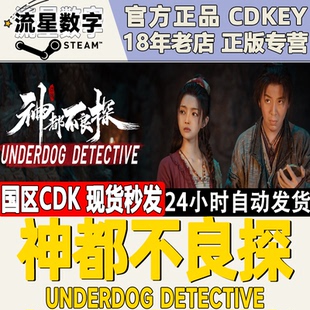 国区key 激活码 神都不良探 Detective 现货 Underdog steam正版