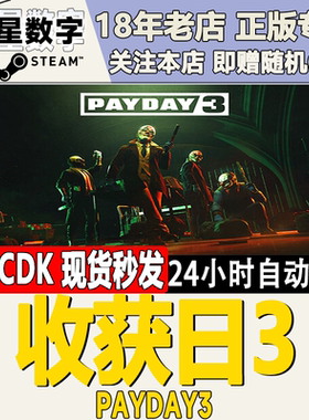 Steam正版国区KEY 收获日3 PAYDAY3 激活码CDKEY