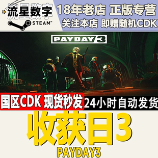 Steam正版国区KEY 收获日3 PAYDAY3 激活码CDKEY