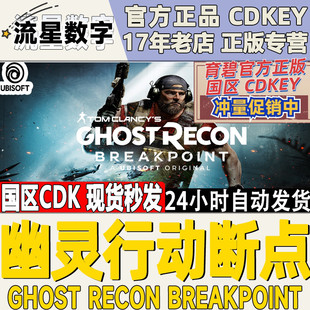 Uplay Breakpoint 幽灵行动断点 Recon 火線獵殺 Ghost PC中文正版