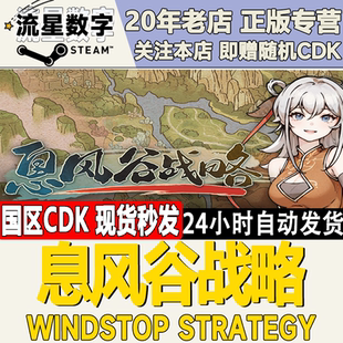 Steam正版国区KEY息风谷战略 WindStop Strategy 激活码CDKEY现货