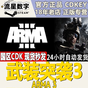 Steam正版国区KEY 武装突袭3 Arma 3 DLC 激活码现货秒发