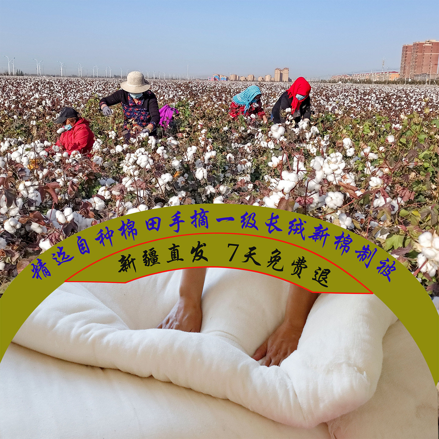 新疆正宗棉花被子一级手工长绒棉纯棉棉絮褥子棉被冬被单人床垫被