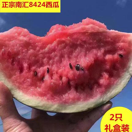 正宗上海南汇8424西瓜2只/4只礼盒装头藤西瓜新鲜水果产地直发