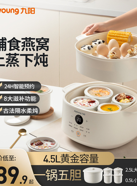 九阳电炖锅隔水炖家用煲汤电砂锅
