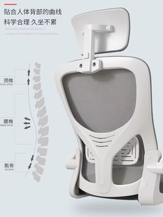 包邮 办公椅人体工学升降椅学生宿舍椅电竞椅家用电脑椅网布 新疆