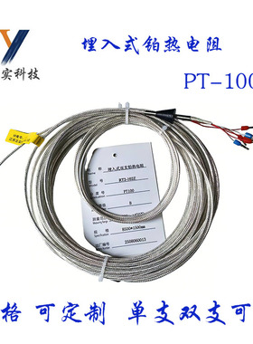 埋入式铂热电阻RT2-102Z四氟线绝缘PT100滚槽轴瓦WZP电阻A级精度