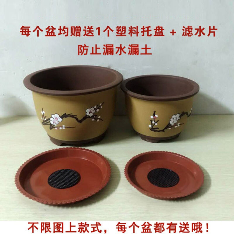 爵遇良品宜兴紫砂盆君子兰盆蝴蝶兰绿萝文竹菖蒲发财树建兰墨兰大