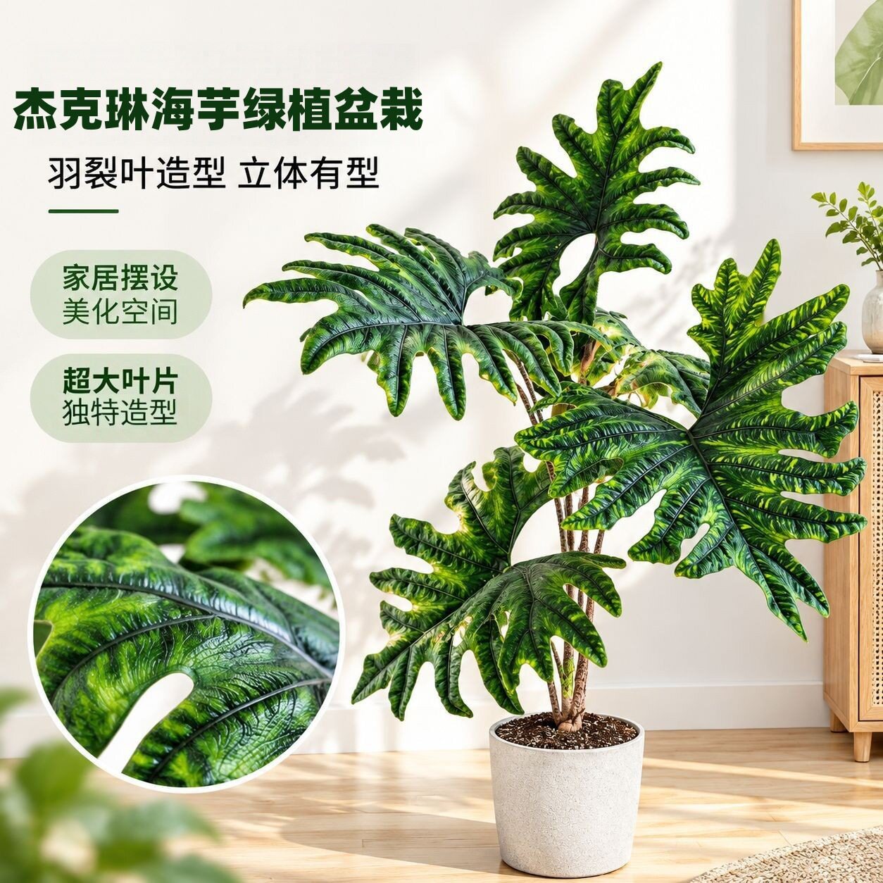 桌面天鹅入门级观叶热植鱼骨叶诺比网红植物常青杰克琳海芋绿盆栽