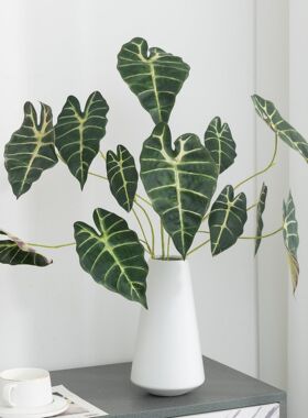仿真黑孔雀叶海芋叶绿植插花叶材家居装饰彩色芋头叶观音莲叶婚庆