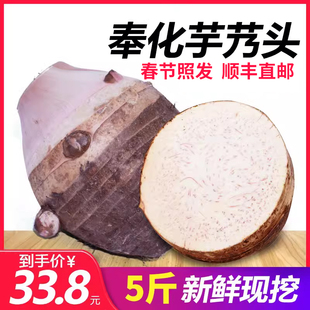 大个芋头正宗奉化芋艿头溪口 5斤装农家自种芋艿子新鲜现挖非荔浦
