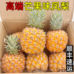海南芒果凤梨胖嘟嘟凤梨台农23号菠萝顺丰快递现摘现发礼盒包装