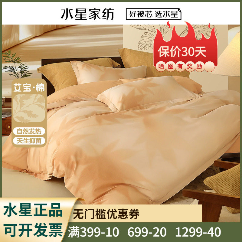 床单24年新品纯棉全棉冬用