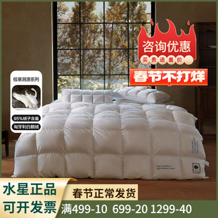 水星家纺羽绒被匈牙利进口95白鹅绒冬被春秋被鹅绒被子保暖被芯