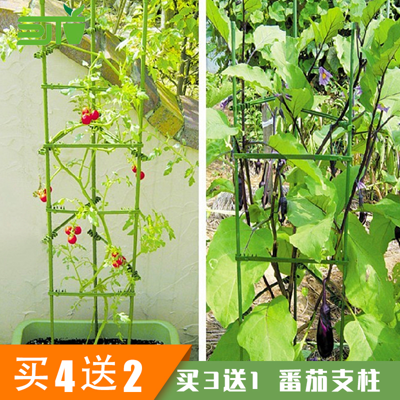爬藤植物支柱攀爬支架辣椒茄子番茄爬藤花支架包塑钢管花 小编推荐 Wepost 全民代运 马来西亚中国淘宝代运与集运专家