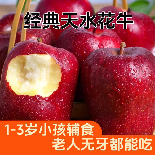 甘肃天水花牛苹果大果10斤装顺丰