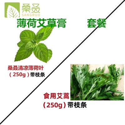 【桑叒】薄荷膏艾草膏套餐新鲜清凉薄荷叶艾草叶带枝条驱蚊组合