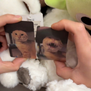 猫猫光栅卡耄耋猫3d卡片可爱哈基咪挂件趣味礼物学生创意抽象装饰