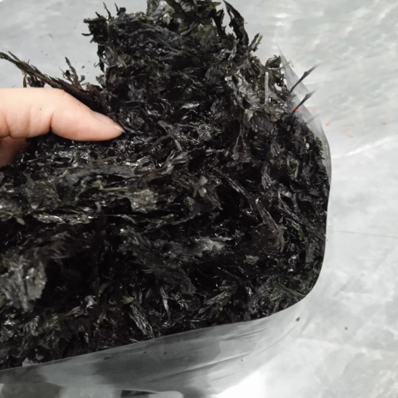 新鲜优质头水碎紫菜450g纯无油干净散装无沙免洗冲泡营养鲜美干货