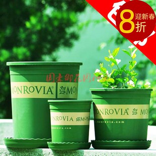 正品印花五加仑花盆树脂塑料大花盆阳台种菜种花养花盆包邮送种子