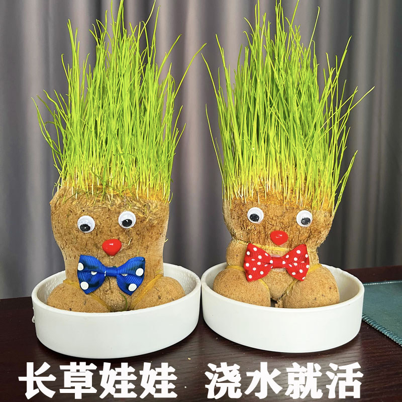 草头娃娃可爱植物长草人桌面水培小盆栽种植物浇水长头发迷你绿植