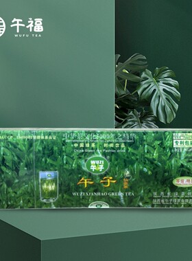 2024新茶精品条装西乡新毛尖绿茶