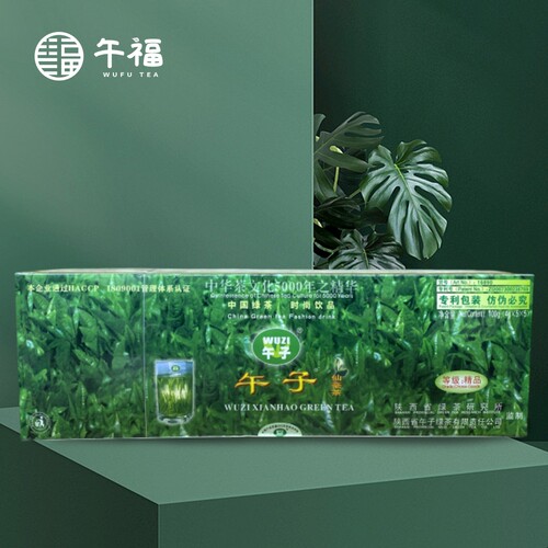 2024新茶精品条装西乡新毛尖绿茶