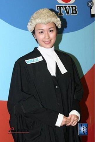 模拟發庭全套服装及道具大量现货法袍法guan服工作服律师袍律师服