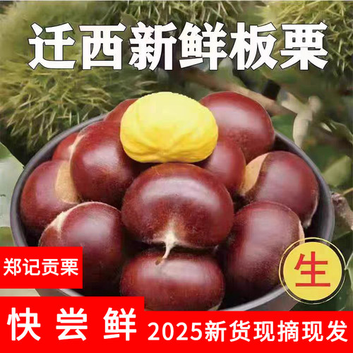 2025现摘迁西板栗皮薄好剥大果