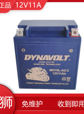 猛狮摩托车电瓶12V10L-A2望江GN250雅马哈XV250力帆V16电池12V11A