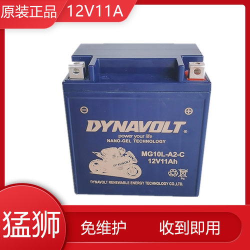 猛狮摩托车电瓶12V10L-A2望江GN250雅马哈XV250力帆V16电池12V11A