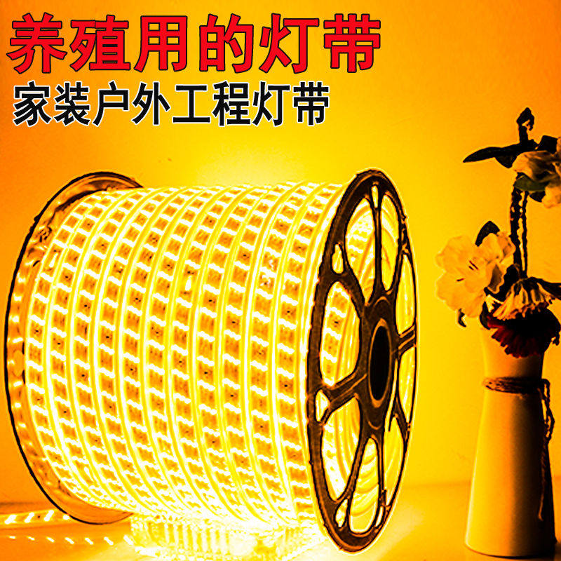 灯带暖光午外效果图,灯带外景效果图,凉亭灯带效果图大全_大山谷图库