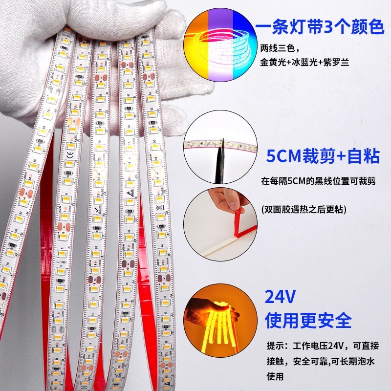 24V实心硅胶灯带灌胶户外防水LED三色调光灯条水下鱼池金黄光冰蓝