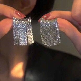 网红轻奢长款流苏耳环气质名媛夸张925银针耳钉女2023新款洋气潮