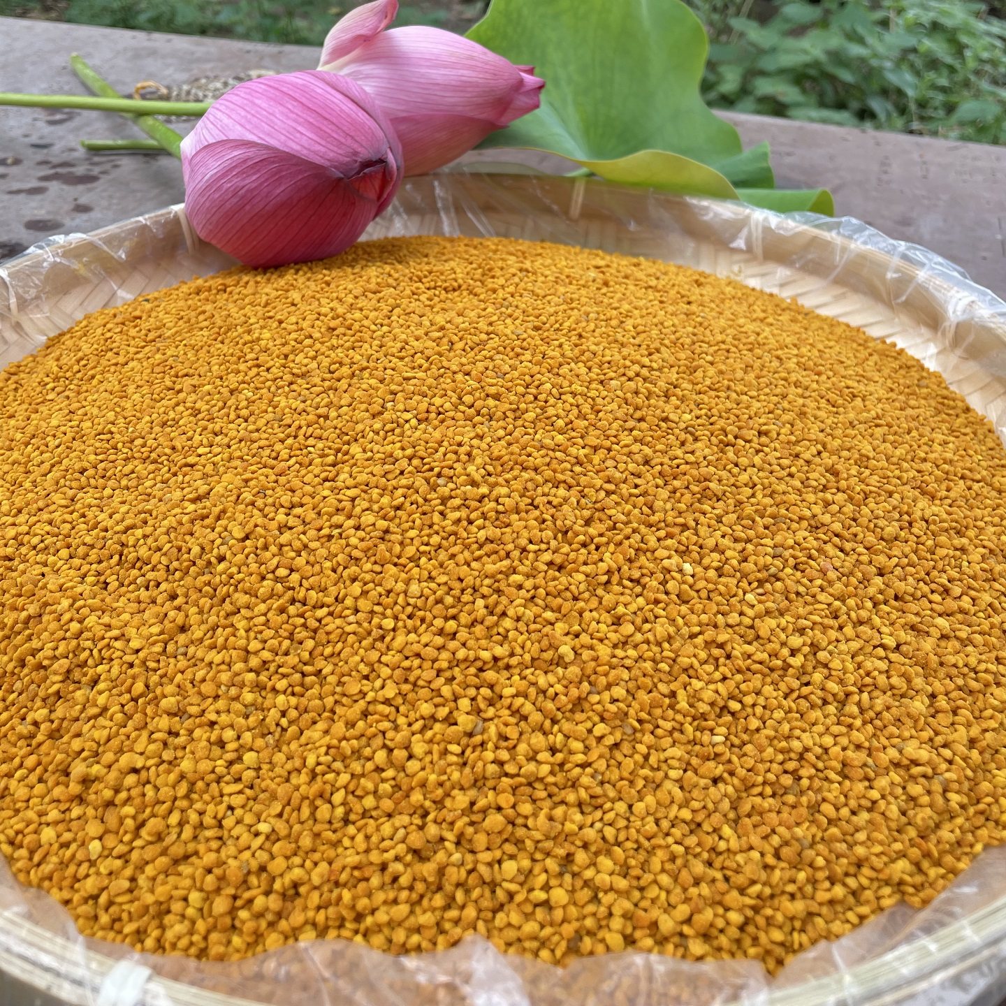 望荷楼荷花粉食用蜂花粉蜂农家自产自销附检测化验报告官方企业店