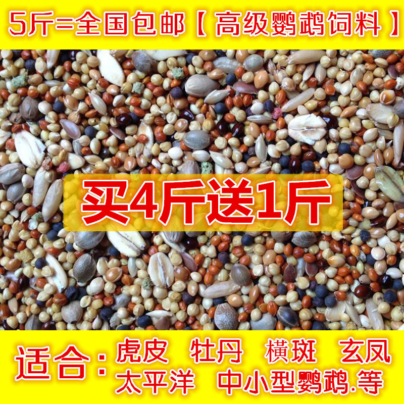 绿颊黄桃云斑横斑虎皮滋养丸鸟粮