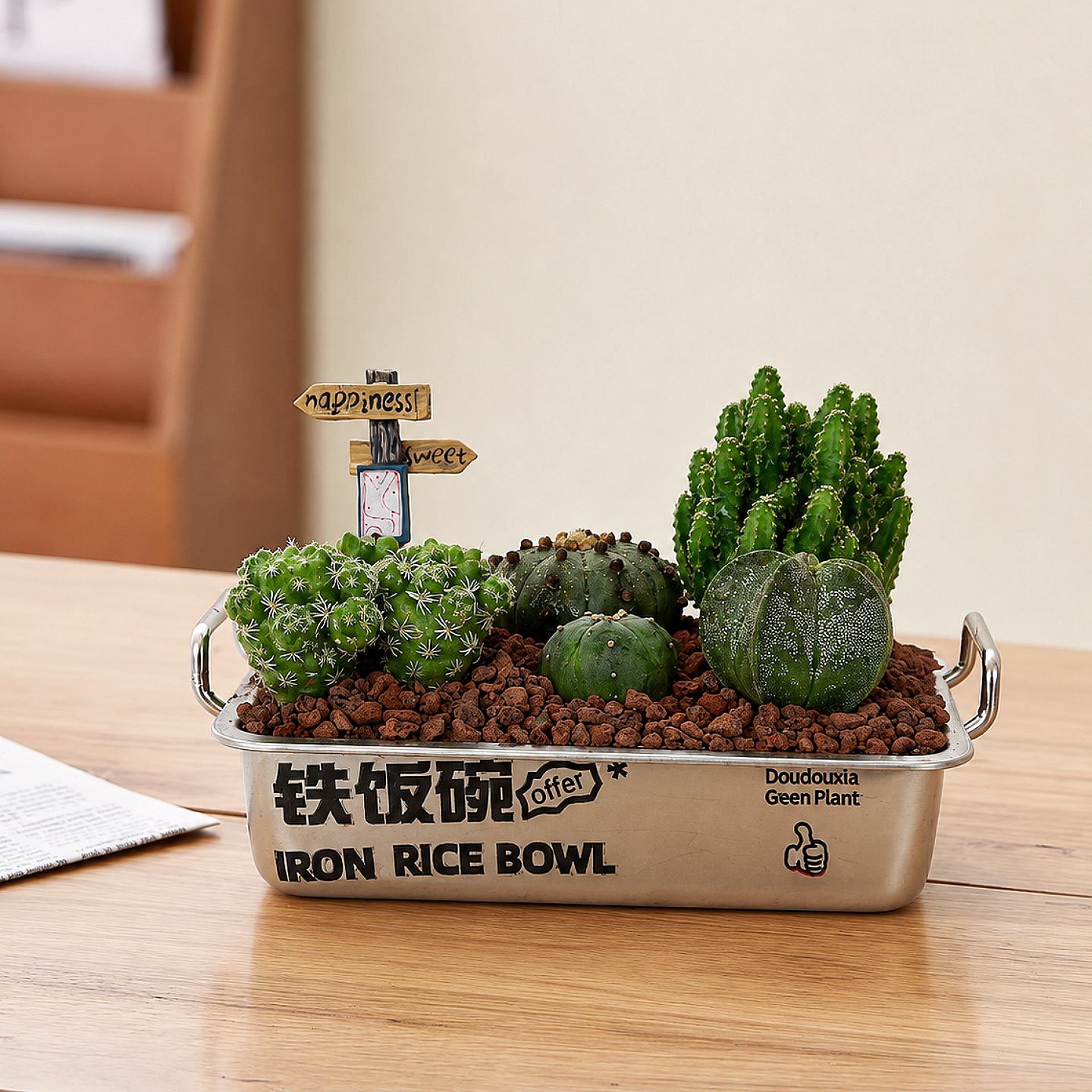 铁饭碗仙人球盆栽办公室内桌面绿植物工位摆件毕业季生日创意礼物