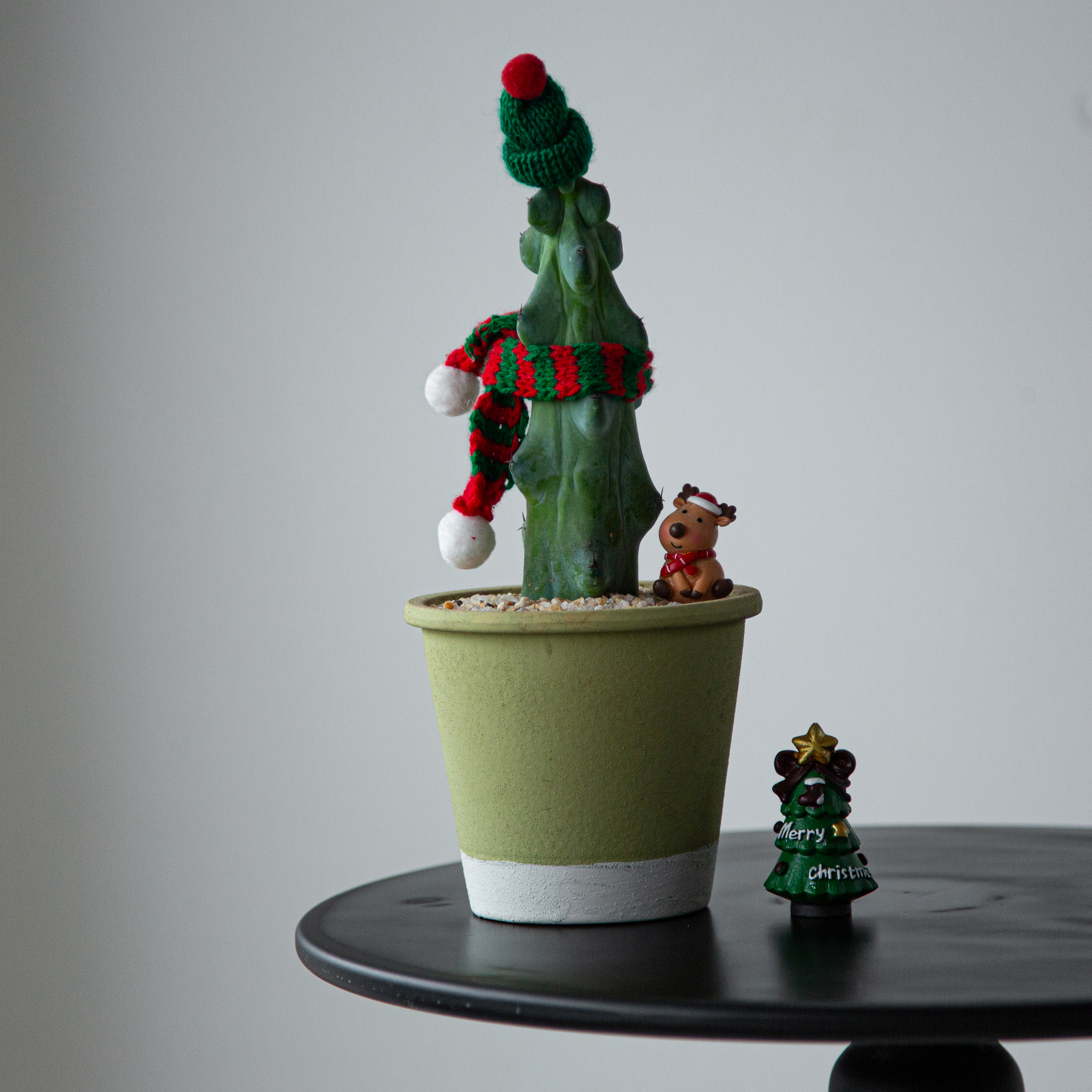 圣诞节福禄寿仙人柱盆栽办公室内桌面装饰品懒人好养植物创意礼物