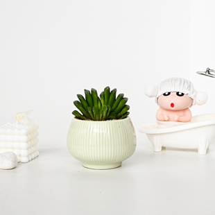 玉扇多肉植物室内桌面好养绿植盆栽工位迷你盆景趣味摆件创意礼物