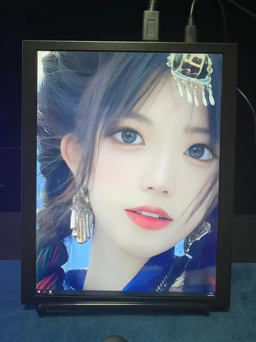 iPad3/4原装2K液晶屏改装便携屏